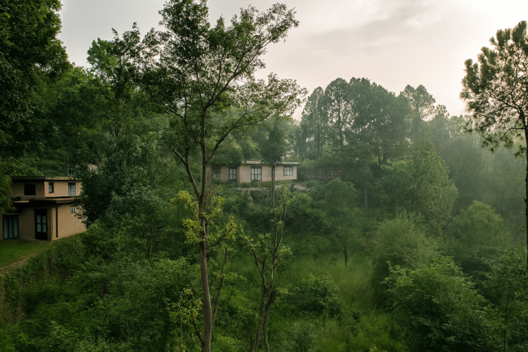 Amaya, Solane – Boutique Villas in Himachal Pradesh